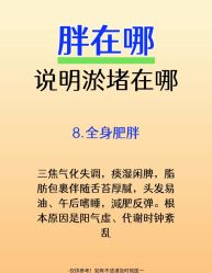 -Fundi张玉珊修身堂·indiba·BTL科技瘦身