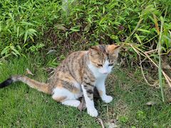 -东钱湖旅游度假区