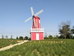 -羊亭河湿地公园