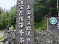 -汤旺河林海奇石景区
