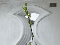 -拙政园