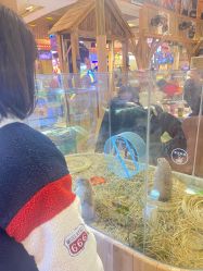 -卡通尼·Safari非洲探索乐园·生日会(金桥国际商业广场店)