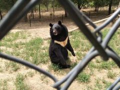 -北京野生动物园