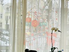 景观位-南山鲜虾面·活鲜小馆·海味大连菜(南山总店)