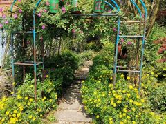 -铁山坪森林公园