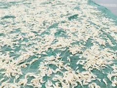 iphone_upload_pic-汤山公园