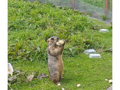 -硗碛藏寨·神木垒景区