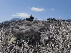 -白水寺森林公园