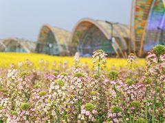 -中国天府农业博览园