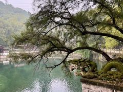-忠山公园