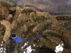 -赤山海景丽呈酒店