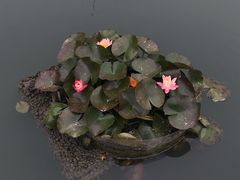 -南京珍珠泉风景区