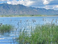 -野鸭湖国家湿地公园