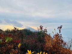 -白帝城·瞿塘峡景区