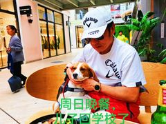 -日本大使馆-新闻文化中心