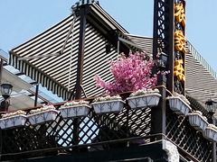 -旺山·浪头人家