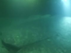 -白鹤梁水下博物馆