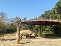 -宁波野生动物园