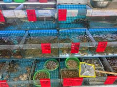 -洲晓鲜·舟山海鲜大排档(朱家尖风景区店)