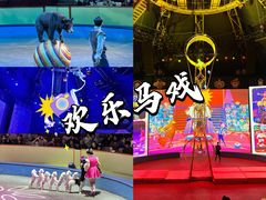 -上海马戏城