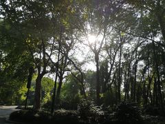 -郭庄茶室