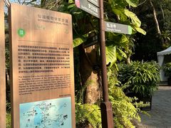 -深圳仙湖植物园