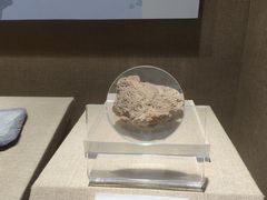 -烟台市博物馆