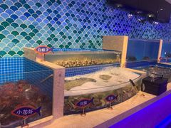 -乔哥铭洋海鲜自助(皇城恒隆广场店)