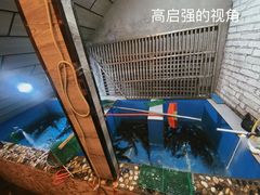 -地道酸汤鱼(民国街店)