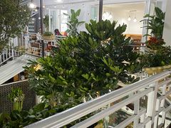 -阿鹏故事云南野生菌火锅(人民路店)