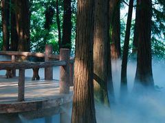 -东湖落雁景区