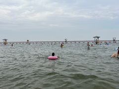 -碧海金沙
