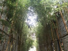 -龙潭水乡