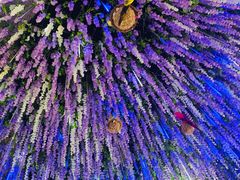 -南京商茂国际酒店(新街口德基广场店)