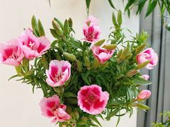 -森野花艺培训·企业团建活动沙龙