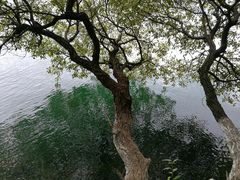 -抚仙湖禄充风景区