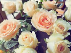 -新华里咖啡书吧(新华书店小寨店)