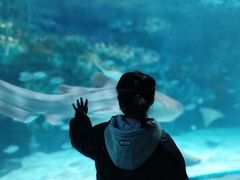 -海合安成都极地海洋公园