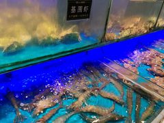 -SEA西雅图海鲜自助餐厅(海乐世界店)
