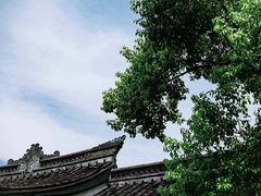 -绍兴鲁迅故里·沈园景区