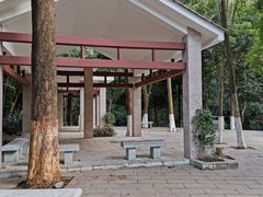 -火炉山森林公园