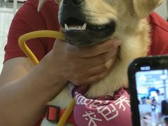 -远洋未来广场(育慧北路店)