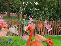 -上海野生动物园