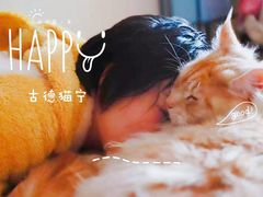 -十年猫舍·猫咪专门店(普陀店)