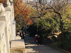 -灵岩山风景区