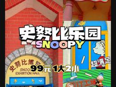 -史努比缤纷世界