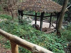 -九龙潭景区