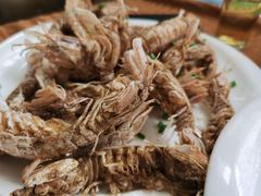 -天桥饭店·特色海鲜(金山嘴渔村店)