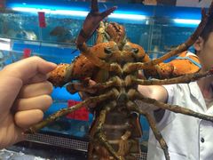 -海大大蒸汽海鲜餐厅·粤菜·特色小炒(欢乐颂店)