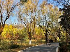 -昆山城市生态森林公园